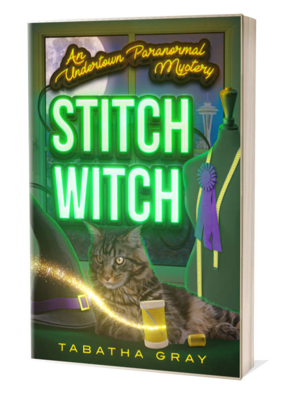 Stitch Witch (Paperback)